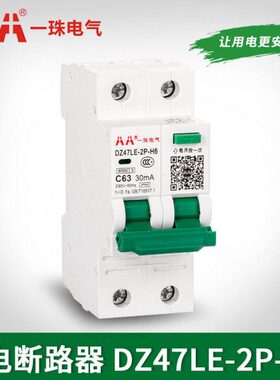 AA一珠电气DZ47LE-63型H6漏电断路器2P保护开关2位空气带漏电珠江