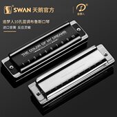 天鹅追梦人口琴10孔布鲁斯蓝调口琴C调儿童初学自学学生专业演奏