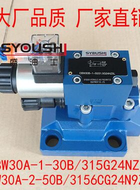 电磁溢流阀DBW30A-1-30B/315G24NZ5L,DBW30A-2-50B/3156CG24N9Z5L