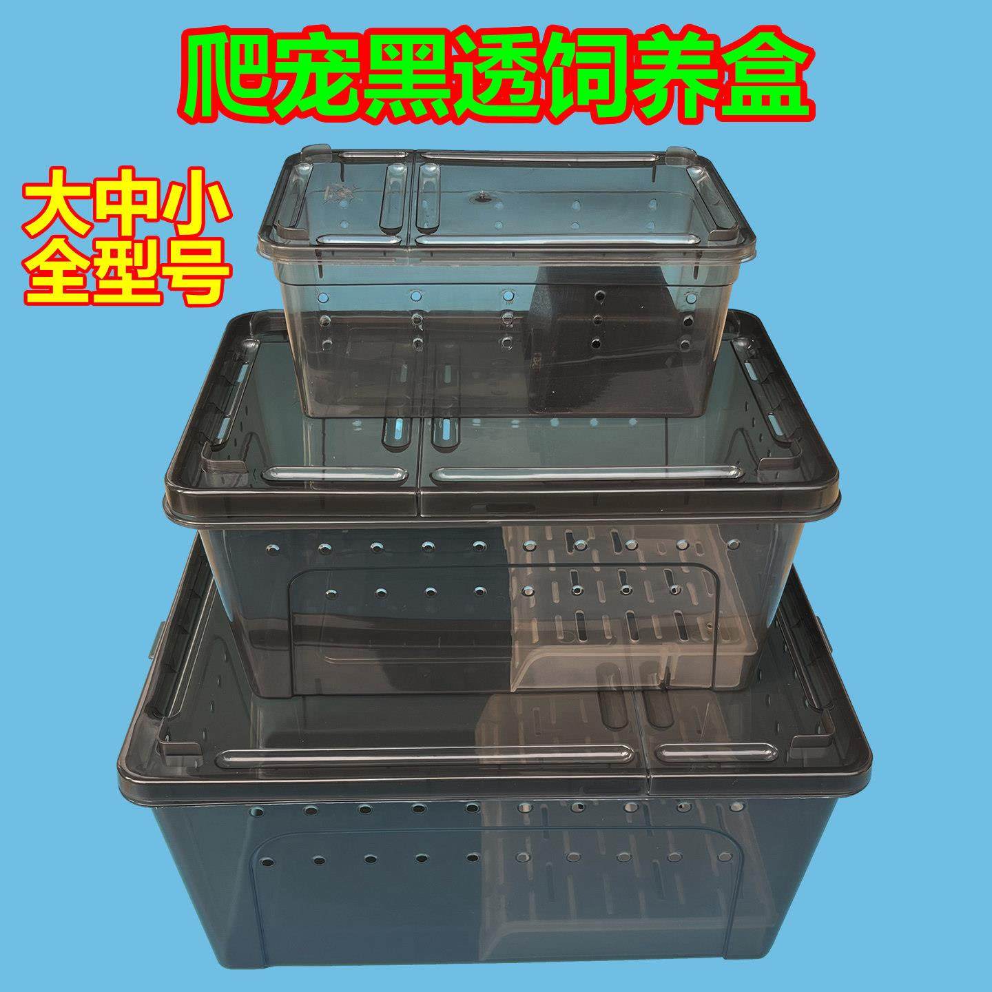 爬宠饲养盒乌龟角蛙寄居蟹守宫宠物蛇黑色塑料爬宠箱人渣盒饲养缸,宠物/宠物食品及用品,爬宠缸/箱,淘宝优惠券,粉丝福利购,淘宝优惠卷