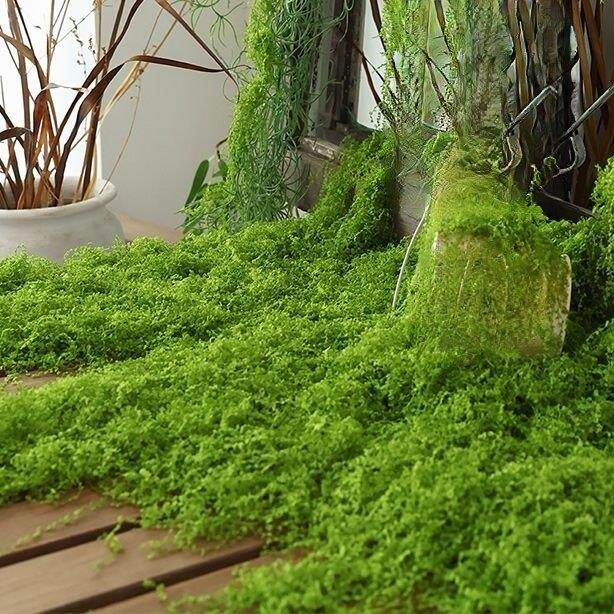 彷真丛林苔藓假青苔彷生草皮造景丝线 线彷真植被假草皮草坪花盆
