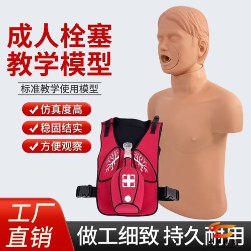 成人儿童婴儿梗塞模型海