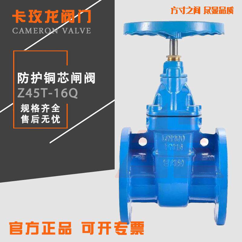 Z45/1T-16Q人防防护闸阀铜芯铜杆硬密封暗明杆法兰闸阀DN80100150