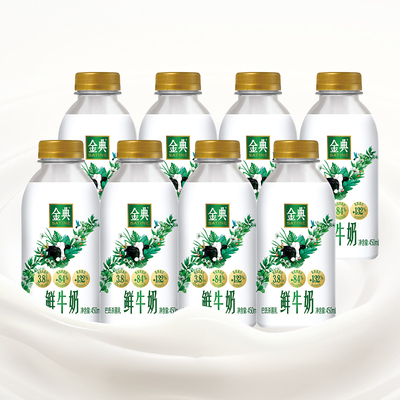 伊利金典鲜牛奶金典450ml*8瓶装巴氏杀菌乳学生营养低温早餐奶