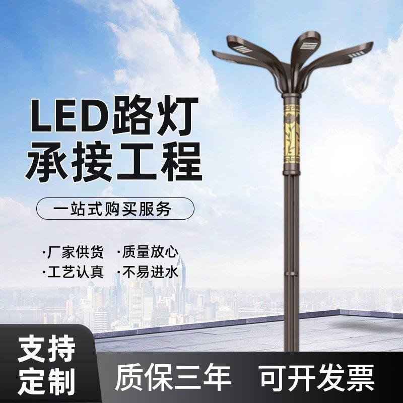 厂家供应市电路灯杆多头LED路灯工程款路灯园林景区广场景观灯