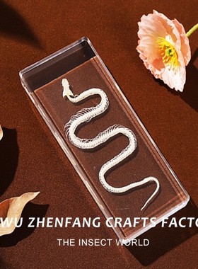 真实昆虫标本高透树脂琥