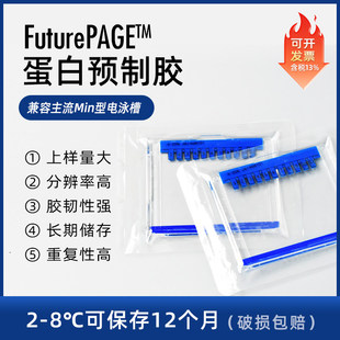 Western blot 蛋白预制胶 sds-page 电泳蛋白胶 MOPS 体系电泳胶