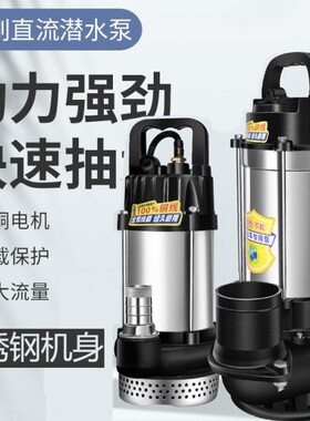 寸抽水泵24VV73瓶伏寸车248V刷直流潜水泵寸1260不锈钢智能电动无