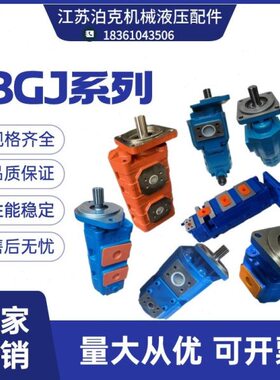 1016//25/CJ50各系列规/1040BG32/01010格J1010G45CB310齿轮油泵