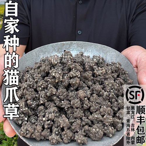 信阳自家种的猫爪草很干净