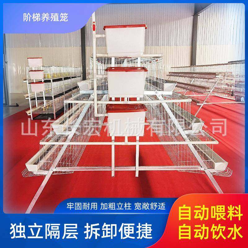 层叠式H型鸡笼加粗养殖笼具框架蛋鸡笼具多层养殖场阶梯A型蛋鸡笼,畜牧/养殖物资,特种养殖设备,淘宝优惠券,粉丝福利购,淘宝优惠卷