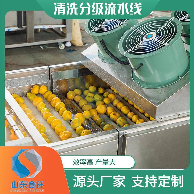 全自动果蔬重量分选机商用滚杠式新疆大枣分级机苹果橘子分级机