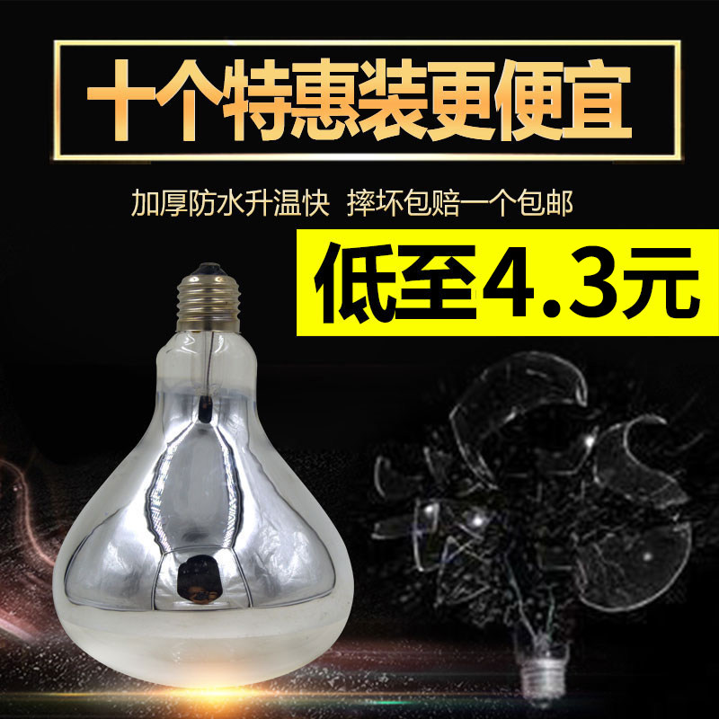 猪用保温灯鸡取暖灯泡兽用烤灯养殖场育雏仔猪加热小鸡保暖灯