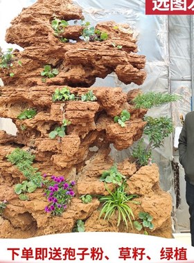 客厅大型天然吸水石原石假山盆景庭院鱼池上水石流水装饰造景摆件