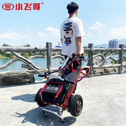 小飞哥老人代步车三轮电动残疾家用双人专用电瓶车老年折叠助力车