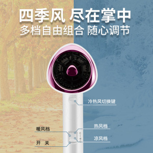 丽园街电吹风机家用大功率学生网红款风筒发廊静音冷热不伤发旅行