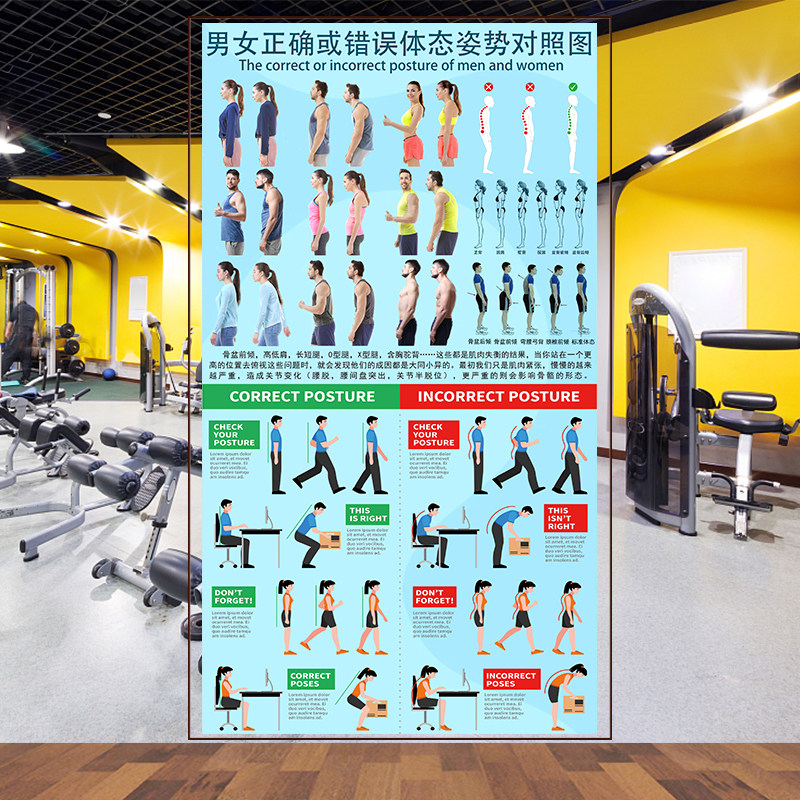男女姿势对比图健身房体态评估矫正墙纸错误姿势不正常Z体态对照