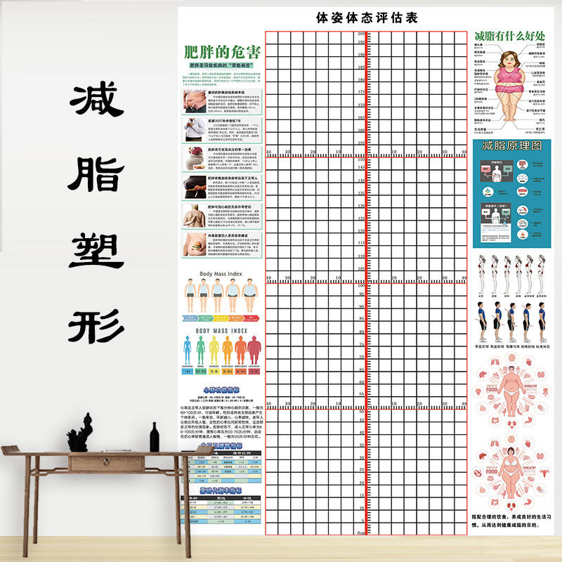 定制体态评估表瑜伽私教体位姿势z身体评估背景墙体测表免费加log