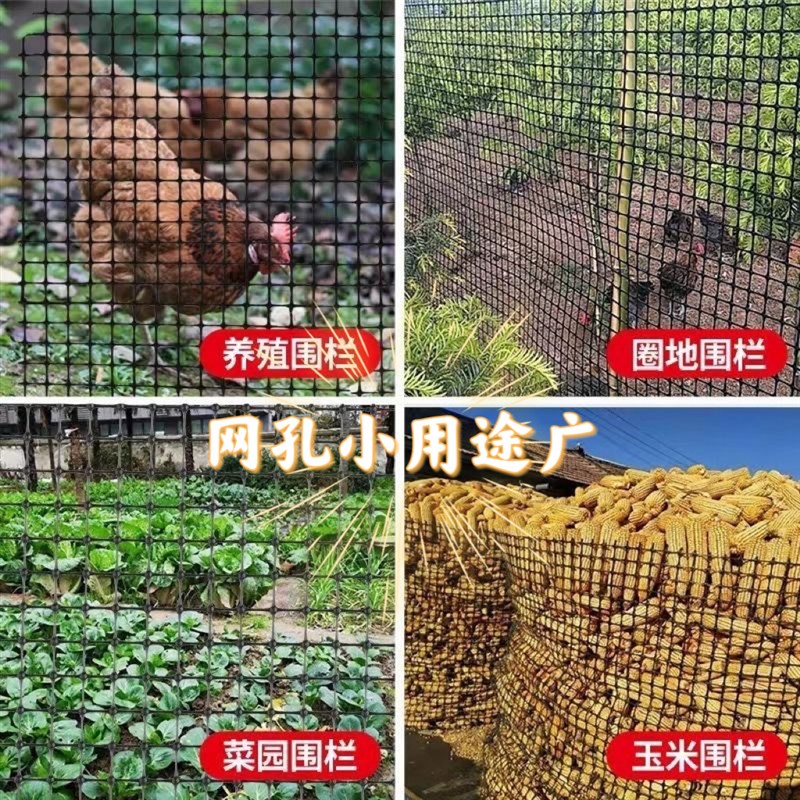 塑料网格围栏养殖阳台防护圈玉米菜园栅栏拦鸡网子漏粪脚垫围栏网