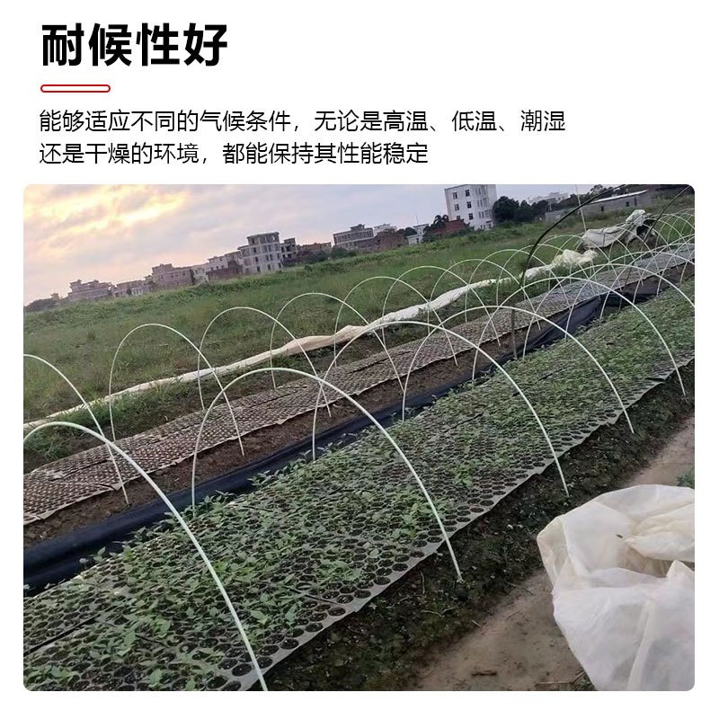 爬大棚保温大小薄膜竿塑料搭棚实心藤架棚弓子防雪杆农用棍拱养殖
