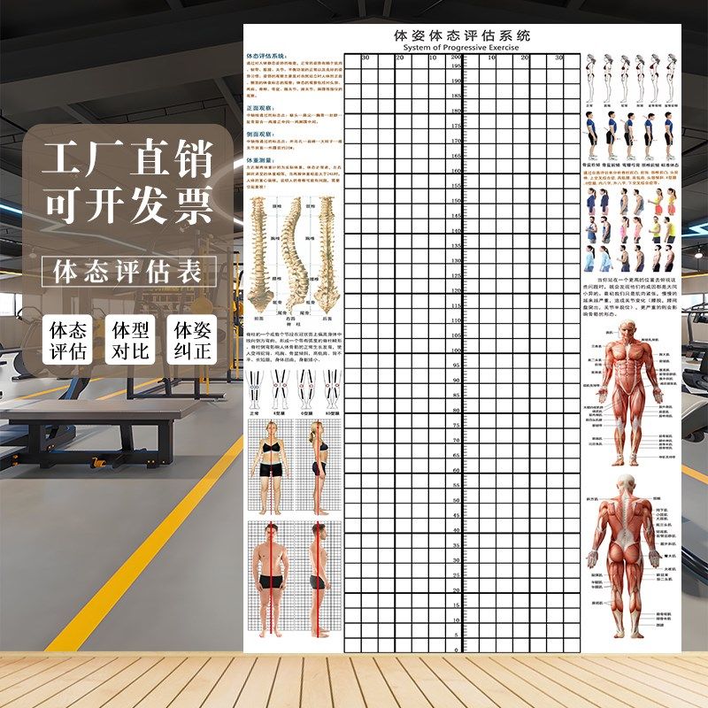 体态评估表体姿图壁画健身房瑜伽馆D身体姿态评估图培训机构体测