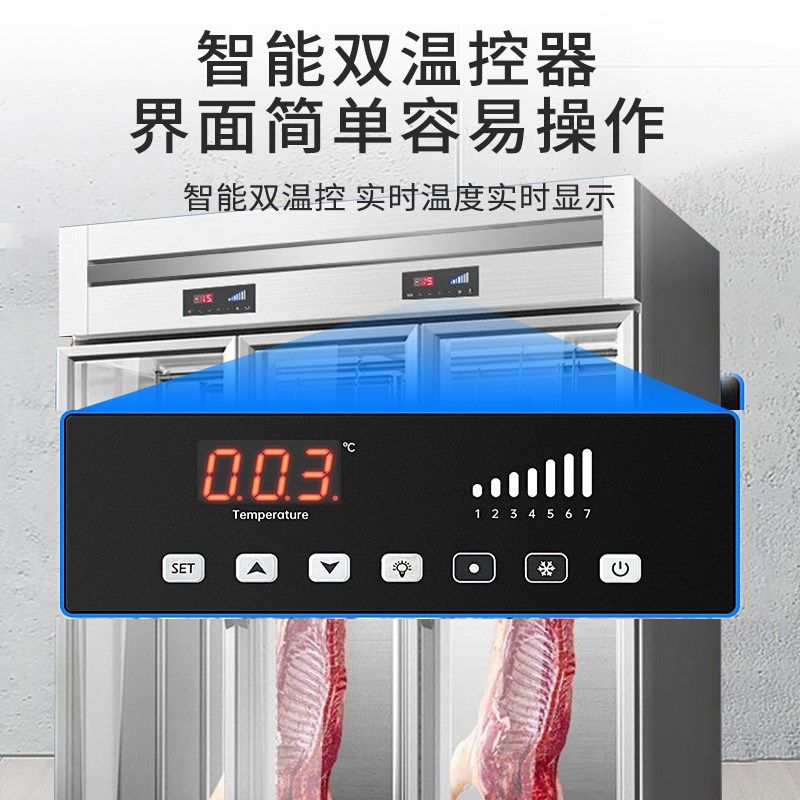 挂肉柜商用牛羊肉保鲜展示柜冷冻柜熟成柜鲜肉冷藏立式吊肉排酸柜