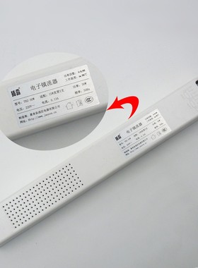 战臣灭蝇灯GB1220灭蚊灯22W电子镇流器T8一拖二整流器215 200 450