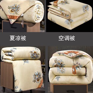 春秋蚕丝棉空调被轻薄款夏凉被单人双人秋冬被褥工厂直发四季被芯