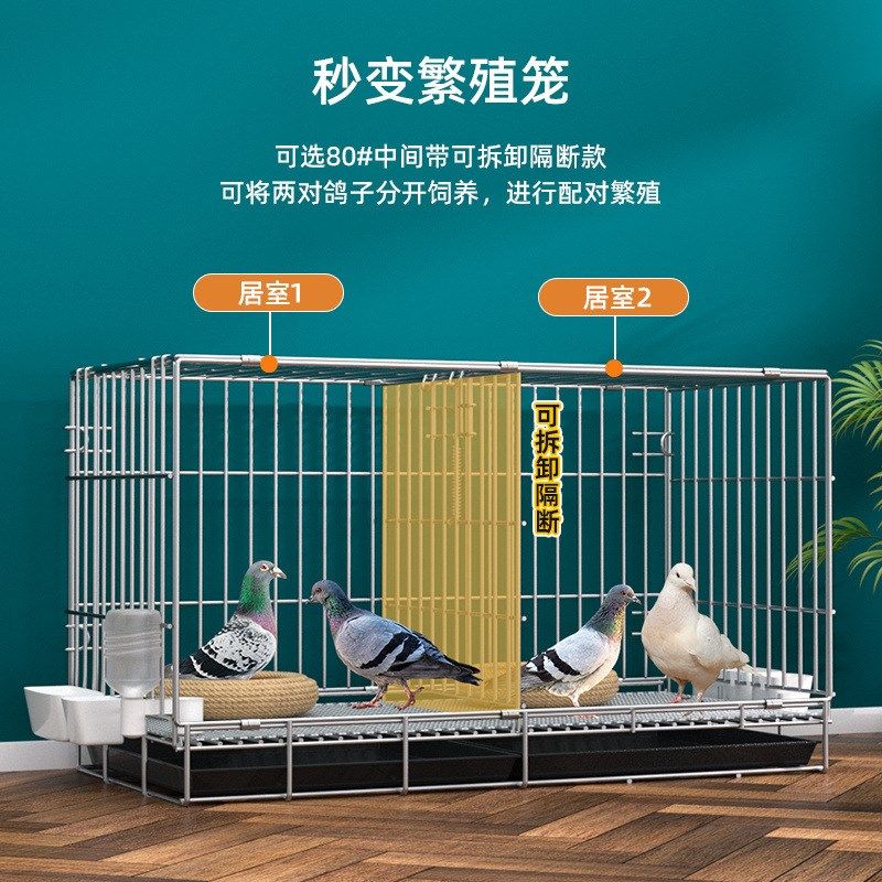 鸽子笼家用养殖笼鸽子配对笼大号鸽子笼家用带隔断繁殖养殖鸽笼清