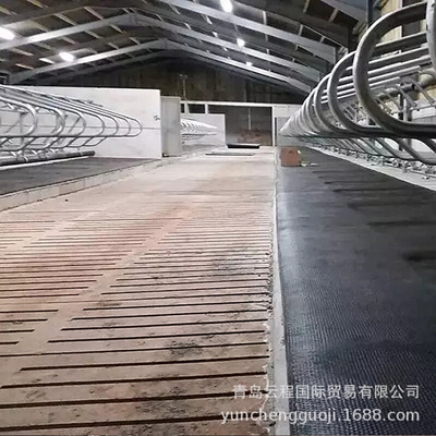 牛场用橡胶防滑垫 奶牛场挤奶厅用  牛卧床用 防滑通道铺设