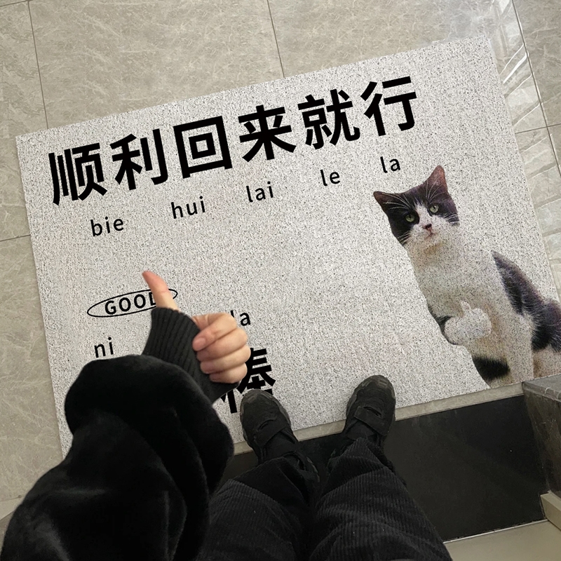 活着回来就行丝圈创意搞笑进门地垫动物除尘防滑脚垫入户玄关家用