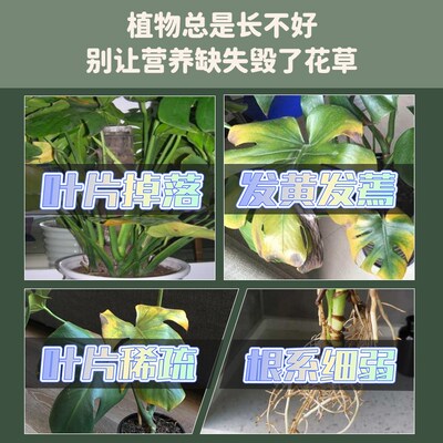 龟背竹营养液水培专用肥促生根观赏叶室内植物缓释浓缩龟背竹肥料