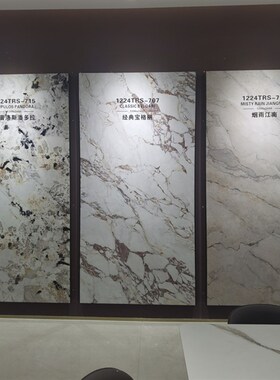 真岩板客厅电视背景墙岩板天然石大理石奢石1200X2400大板岩石
