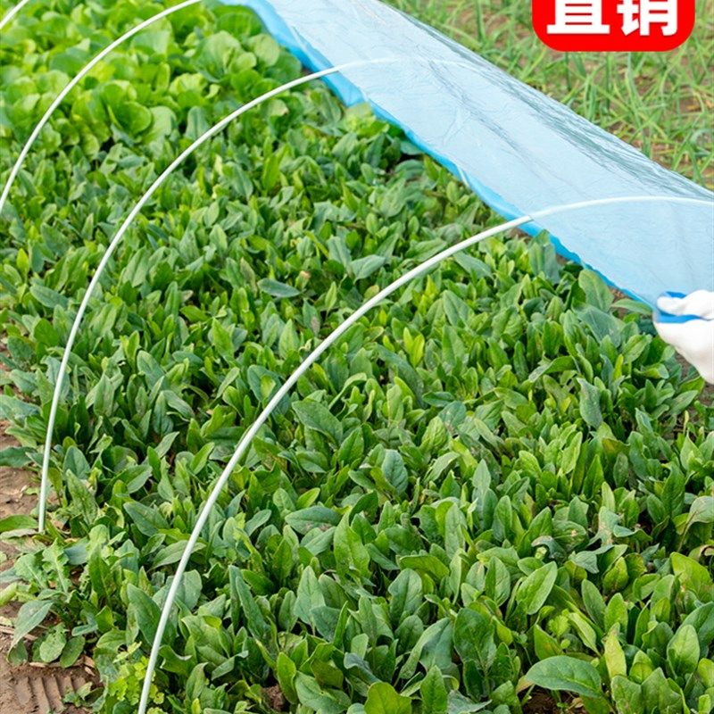 蔬菜花钢棒骨架棒面杆杆花架玻璃纤维扶苗插杆水果支伸缩杆米粉,农机/农具/农膜,温室大棚支架,淘宝优惠券,粉丝福利购,淘宝优惠卷