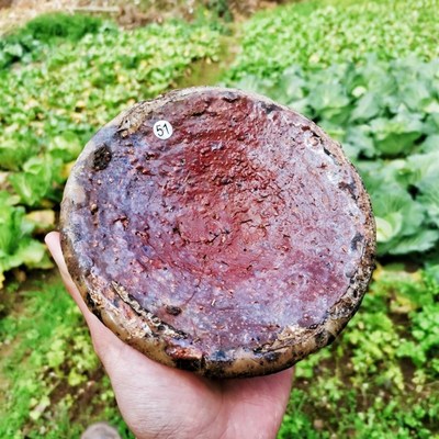 景德镇宋代湖田窑柴烧窑具精品匣钵盖茶壶承垫子微型盆景托盘果盘