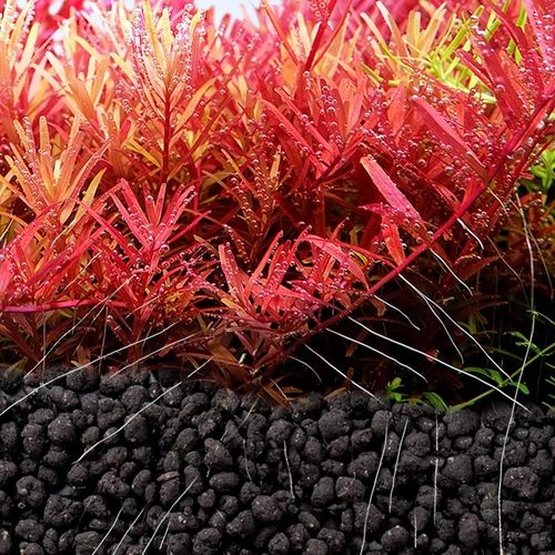 尼特利水草泥通用版自然粒基肥开缸伴侣鱼缸生态草缸专用底沙3L9L