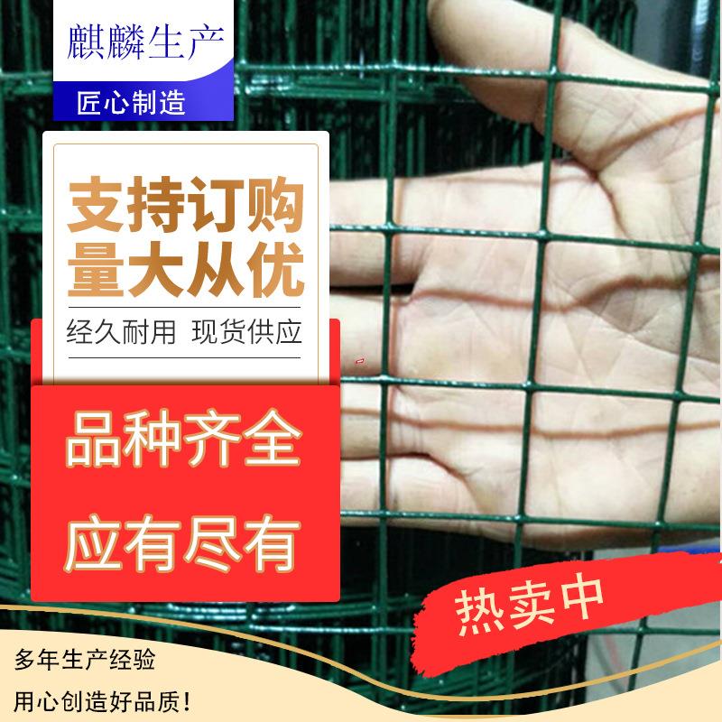 小孔养殖围栏网 3厘米1.5厘米孔电焊网 葡萄园围栏网 铁丝网 养鸡