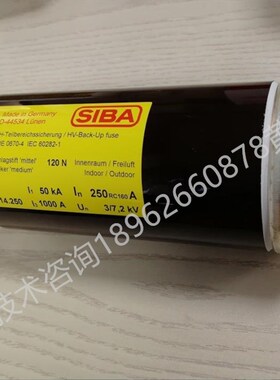 SIBA 高压熔断器 3001013 63A 80100A 125 160A 3001814 200 250A
