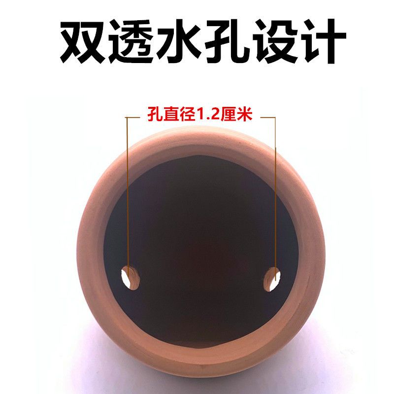 海葵窝巢奶嘴窝家杯海葵家地毯屋奶嘴杯海葵容器防跑珊瑚罐