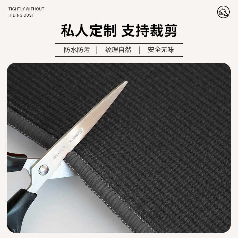 入户门地垫轻奢高级门口进门门垫玄关家用入门脚垫防滑免打理垫子