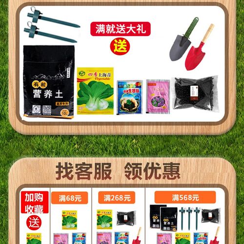阳台长方形带轮种植箱种菜专用箱万向轮户外露台庭院塑料花盆花箱
