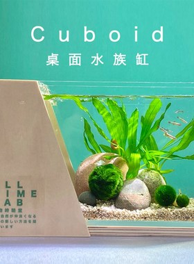 桌面生态鱼缸来潮时Cuboid迷你球藻小微水族缸懒人好养免打理造景