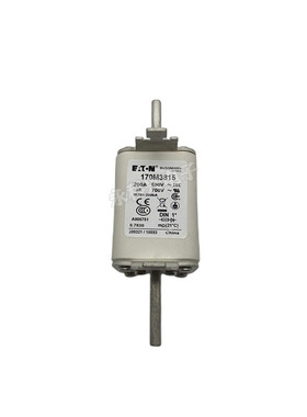 巴斯曼快速熔断器保险丝170M3814 3815 3816 3817 3818 3819 3901