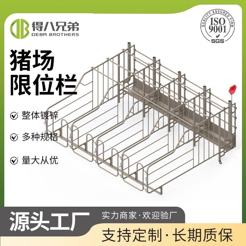 源头直供猪场单体栏限位栏坚固耐用高效管理每头猪高效养殖猪舍