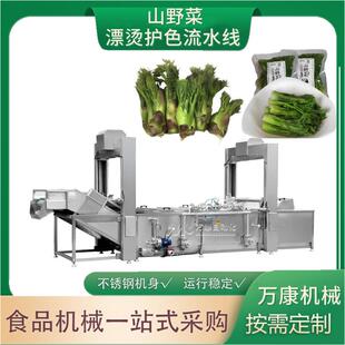 大型速冻刺嫩芽荠菜清洗线苦菜漂烫杀青机整套山野菜加工设备特价