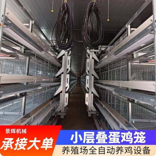 全自动小层叠蛋鸡笼厂家热镀锌蛋鸡笼自动化清粪捡蛋喂料养鸡设备