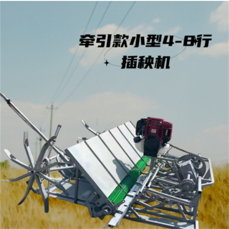 小型插秧机 旱稻插秧机 4行6行手扶式水稻插秧机