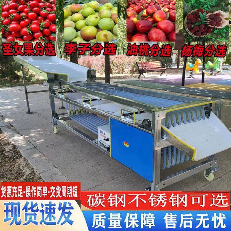 商用选果机圣女果百香果李子槟榔分拣机分选筛选机杨梅轨道分选机,清洗/食品/商业设备,选果机/分选机,淘宝优惠券,粉丝福利购,淘宝优惠卷