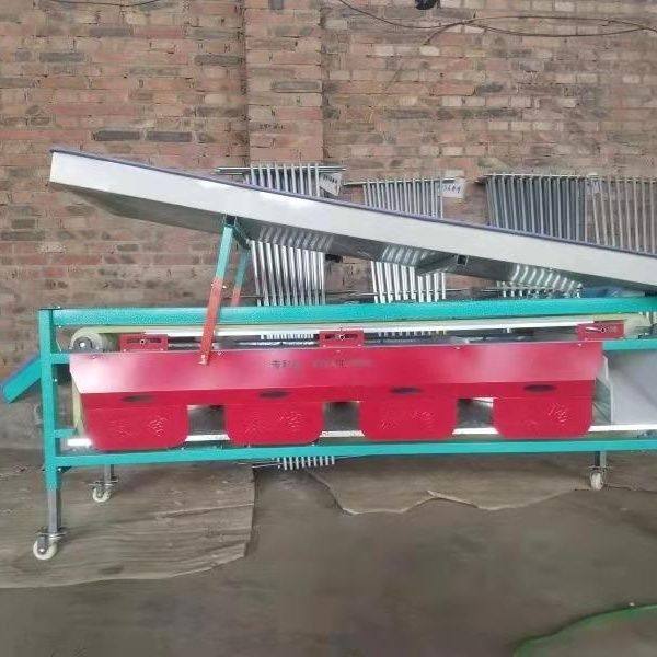 果蔬选果机槟榔脐橙百香果李子分拣机分选筛选机圣女分级机全自动