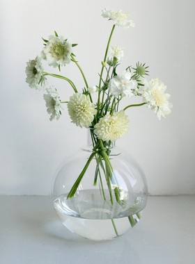 OOOOH!北欧简约圆形玻璃花瓶清新水培插花器